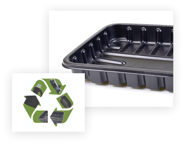 plastics-applications-food-container-recycle